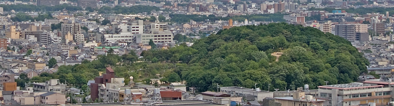A tree-covered, horizontally elongated hill in the midst of concrete buildings in Kyoto City.