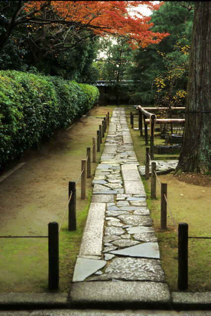 A straight stone pavement is made of the patchwork of flat-top stones in various shapes, leading to the back wall of the temple's entrance garden.